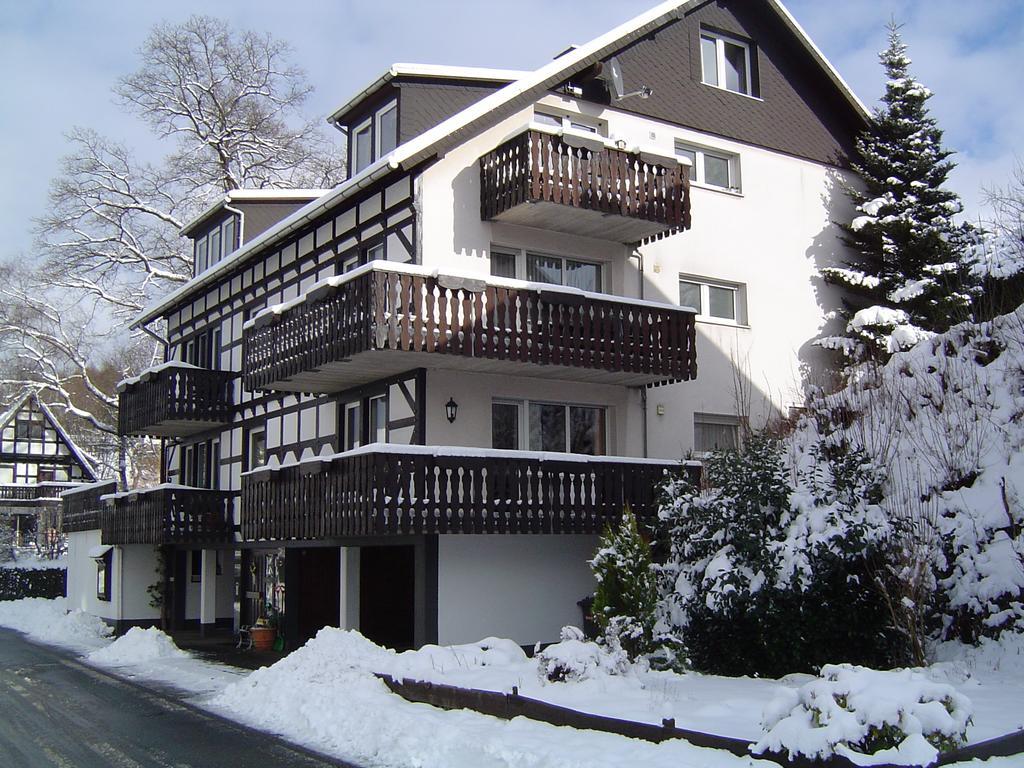 Ferienhaus Hedrich Assinghausen Dış mekan fotoğraf