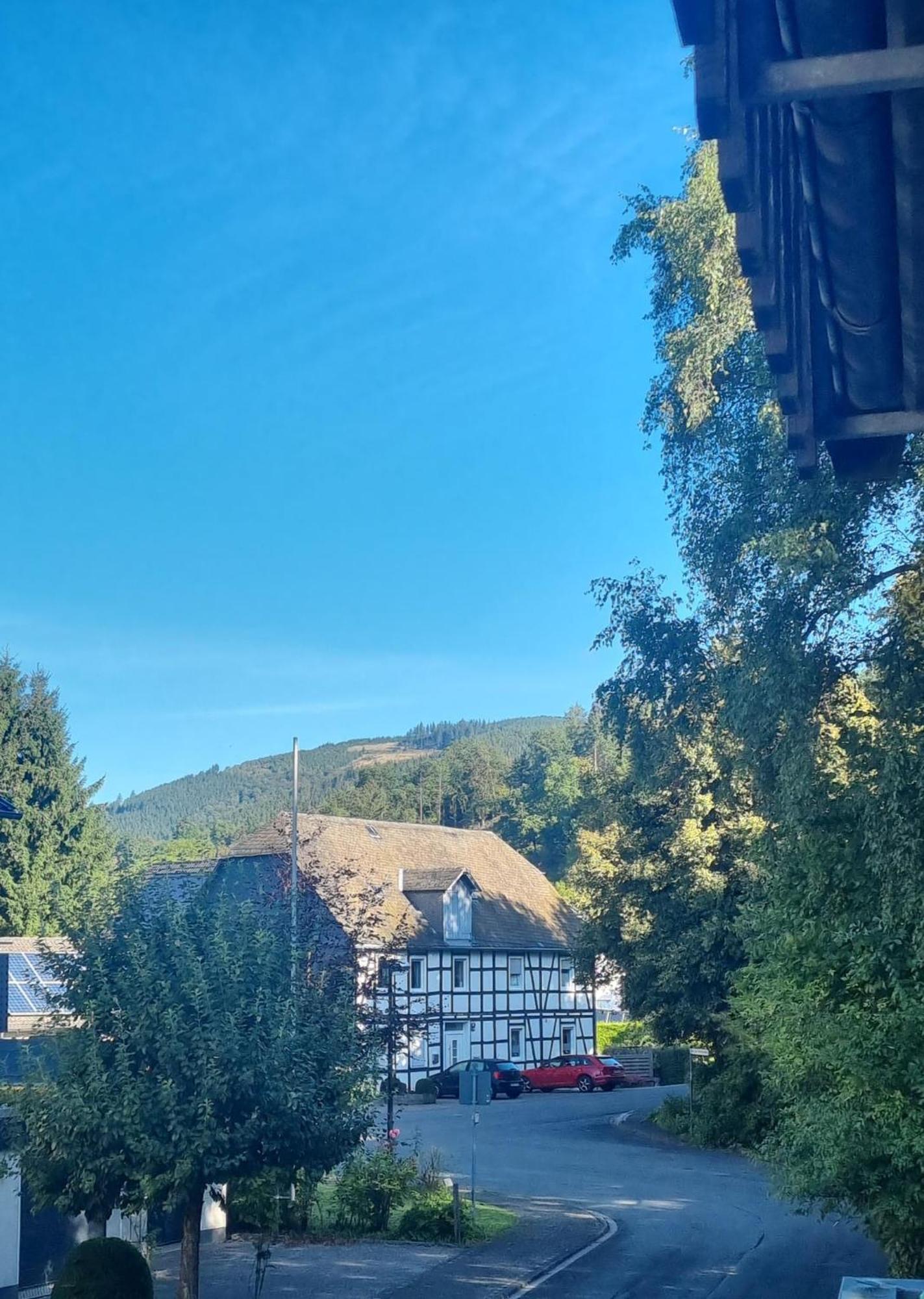 Ferienhaus Hedrich Assinghausen Dış mekan fotoğraf