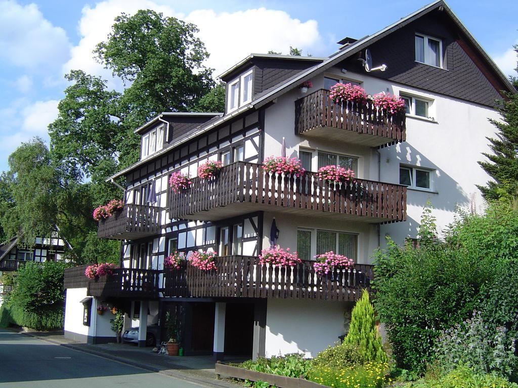 Ferienhaus Hedrich Assinghausen Dış mekan fotoğraf